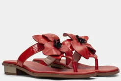 Hispanitas Sandalias^Sandalias Planas Ibiza